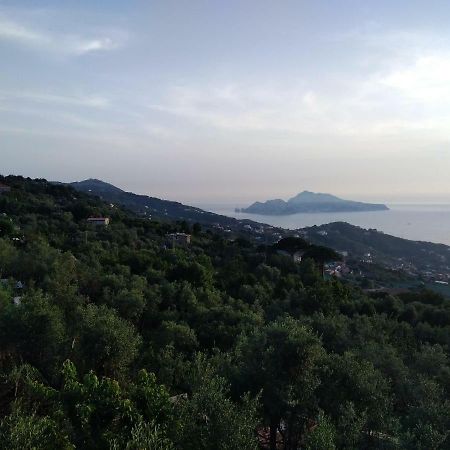 Apartament La Vista Sul Golfo Massa Lubrense Zewnętrze zdjęcie