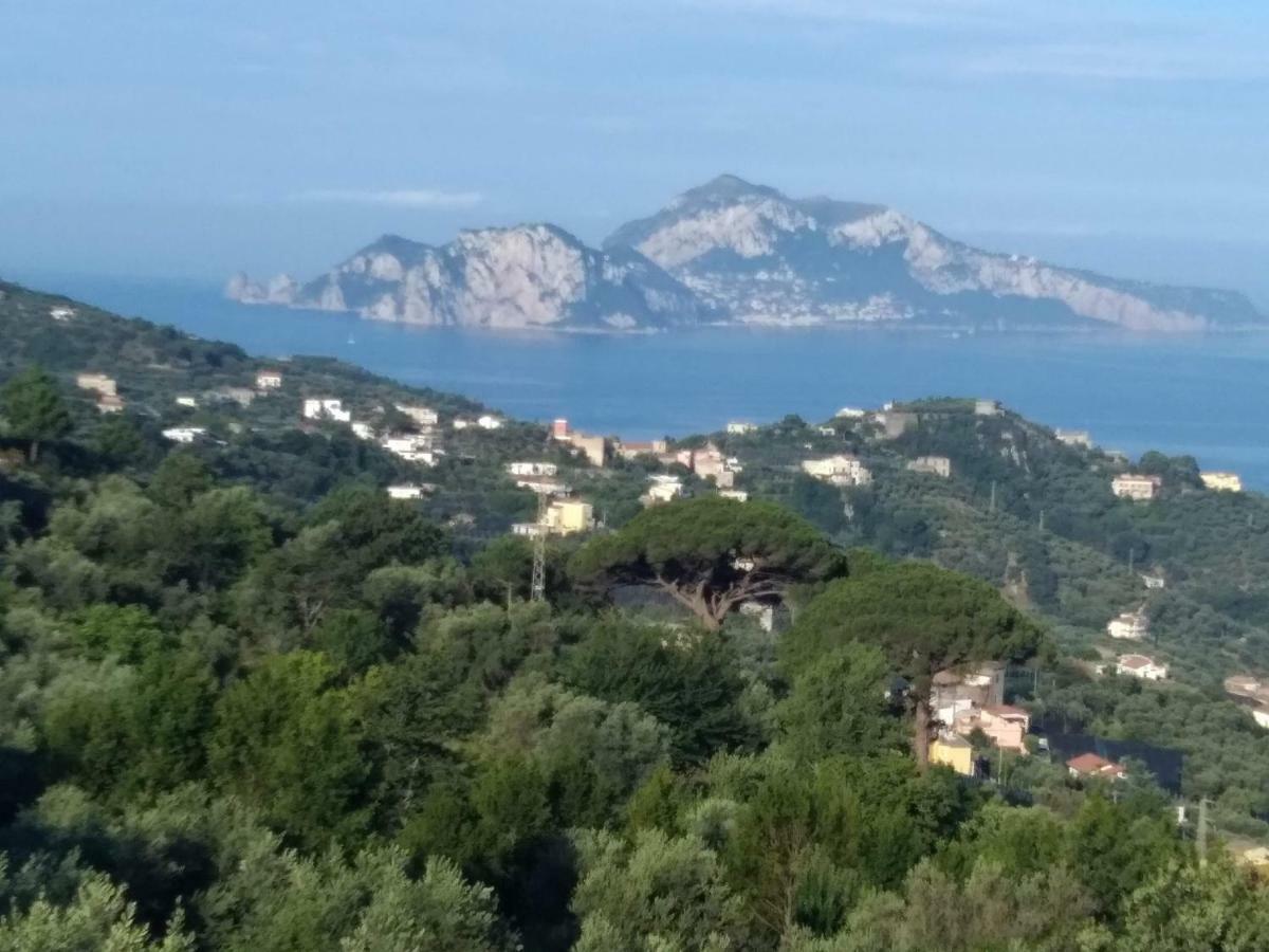 Apartament La Vista Sul Golfo Massa Lubrense Zewnętrze zdjęcie