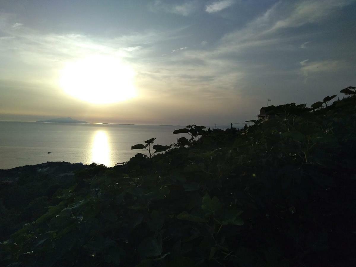 Apartament La Vista Sul Golfo Massa Lubrense Zewnętrze zdjęcie